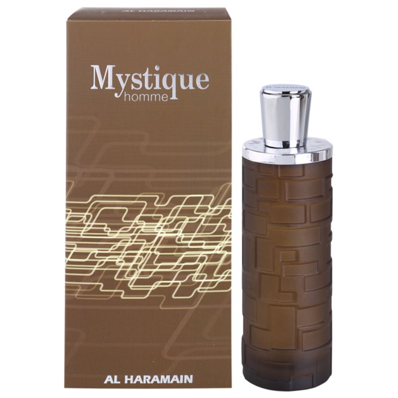 Al Haramain Mystique Homme parfémovaná voda pro muže 100 ml Image