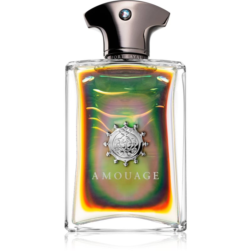 Amouage Portrayal parfémovaná voda pro muže 100 ml Image