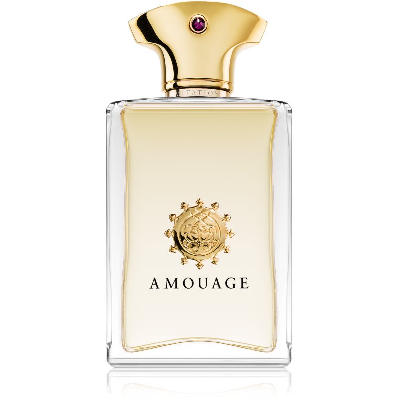 Amouage Beloved Men parfémovaná voda pro muže 100 ml Image