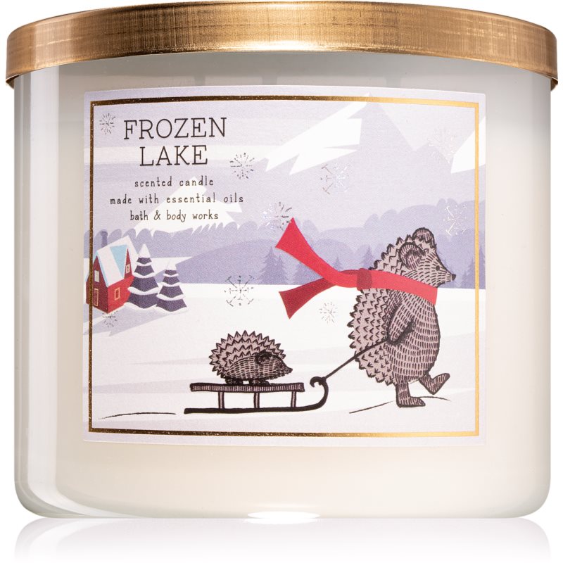 

Bath & Body Works Frozen Lake aроматична свічка
