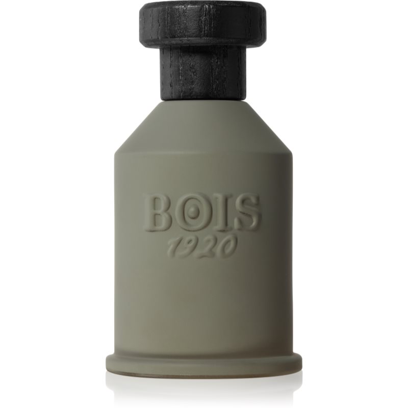Bois 1920 Itruk parfémovaná voda unisex 100 ml