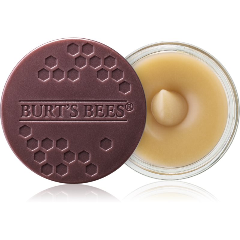 Burt’s Bees Lip Scrub peeling na rty s vyživujícím účinkem 7,08 g Image