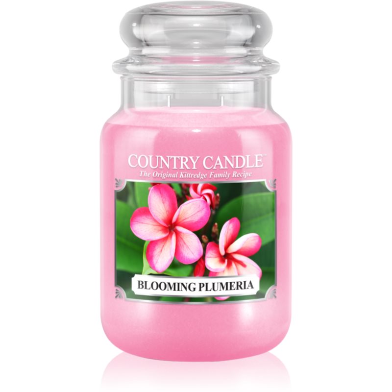 Country Candle Blooming Plumeria dišeča sveča 652 g