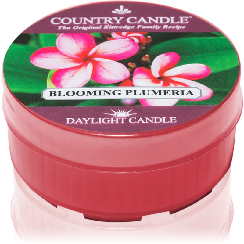 Country Candle Blooming Plumeria čajová svíčka 42 g