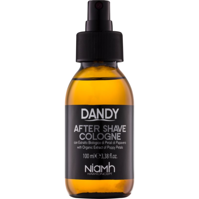 DANDY After Shave Aftershave 100 ml