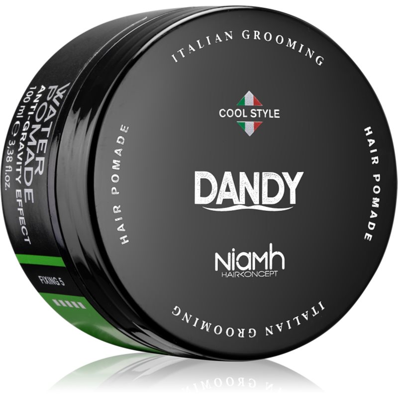 DANDY Water Pomade Anti-Gravity Effect pomada de cabelo com fixação forte 100 ml