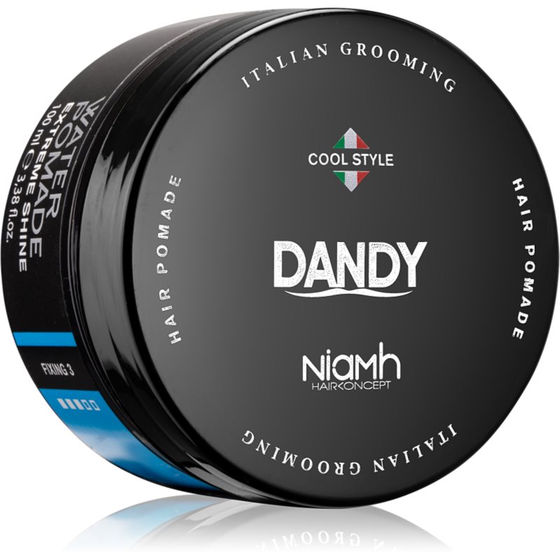 DANDY Water Pomade Extreme Shine pomada para el cabello 100 ml
