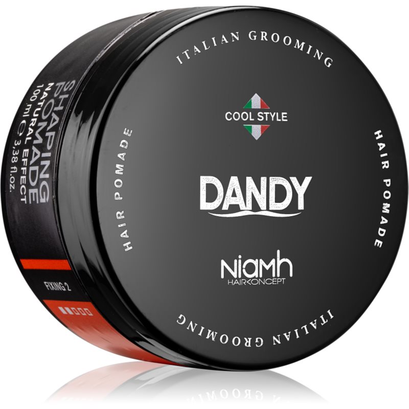 DANDY Shaping Pomade tvarující pomáda do vlasů 100 ml