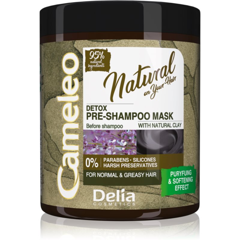 Delia Cosmetics Cameleo Natural грижа за използване преди нанасянето на шампоан за мазна коса 250 мл.