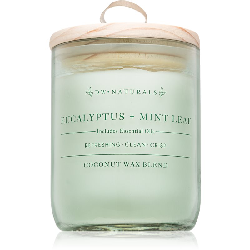 DW Home Eucalyptus + Mint Leaf vela perfumada 500,94 g