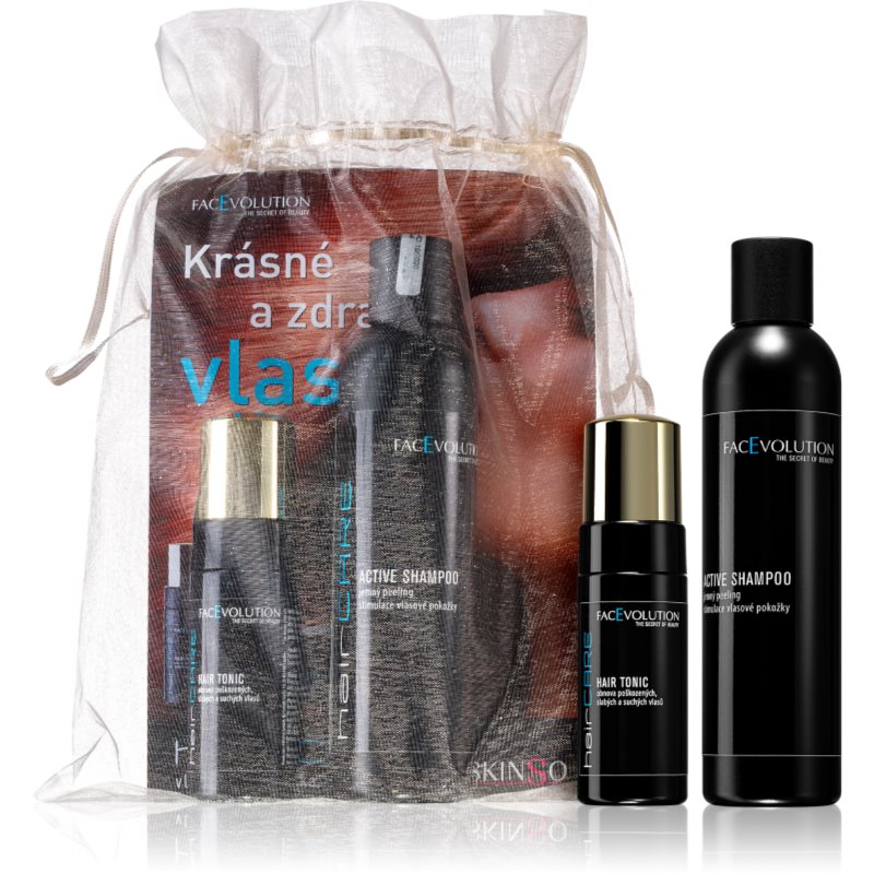 

FacEvolution HairCare косметичний набір (для сухого або пошкодженого волосся