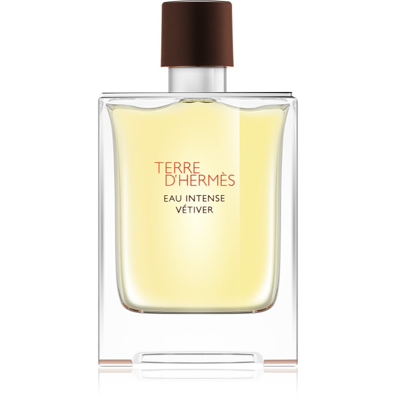 Hermès Terre d'Hermès Eau Intense Vétiver Eau de Parfum para homens 100 ml