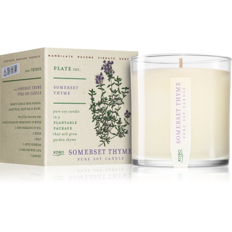 KOBO Plant The Box Somerset Thyme vonná svíčka 283 g