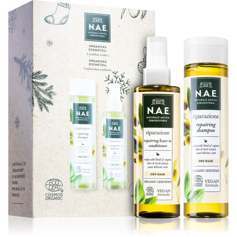 N.A.E. Riparazione Geschenkset (für das Haar)