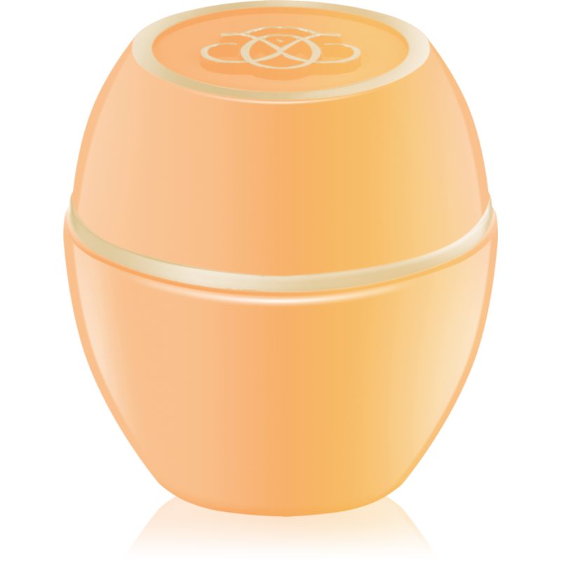 Oriflame Tender Care ochranný balzám na rty s meruňkovým olejem 15 ml