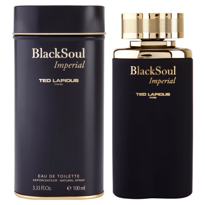 Ted Lapidus Black Soul Imperial toaletní voda pro muže 100 ml Image