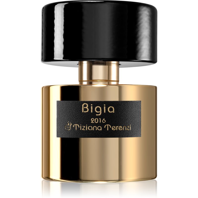 Tiziana Terenzi Bigia parfémový extrakt unisex 100 ml Image