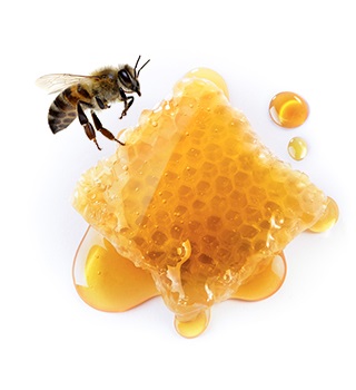 Bienenwachskerzen