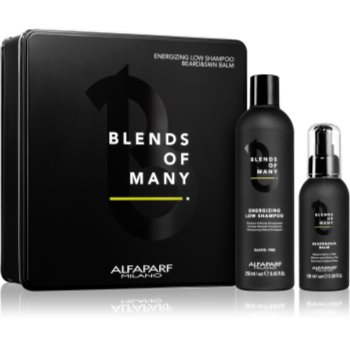 Alfaparf milano blends of many set de cosmetice (pentru barbati)