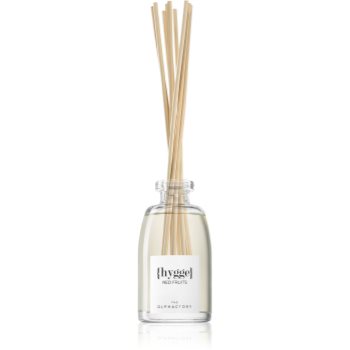 Ambientair olphactory red fruits aroma difuzor cu rezervã (hygge)
