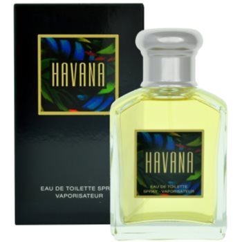 Aramis Havana toaletní voda pro muže 100 ml