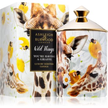 Ashleigh & burwood london wild things you're having a giraffe lumânare parfumată