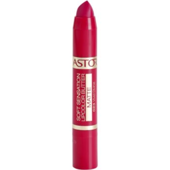 

Astor Soft Sensation Lipcolor Butter матуюча помада відтінок 023 Vivid Divine 4,8 гр