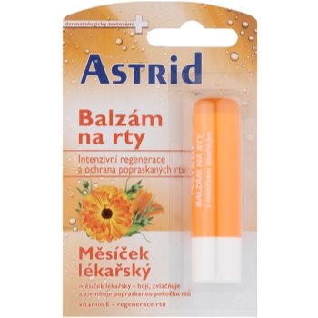 Astrid Lip Care Balsam de buze regenerator cu gălbenele