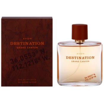 Avon destination grand canyon eau de toilette pentru bărbați