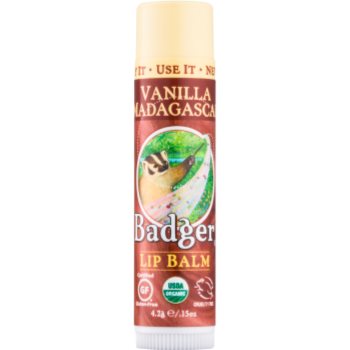 Badger classic vanilla madagascar balsam de buze