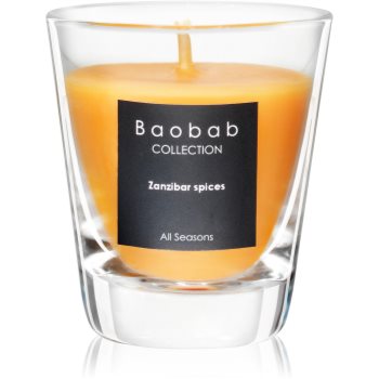Baobab Zanzibar Spices lumânare parfumată (votive)