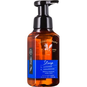 

Bath & Body Works Sleep мило-піна для рук 259 мл