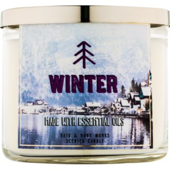 

Bath & Body Works Winter ароматизована свічка 411 гр