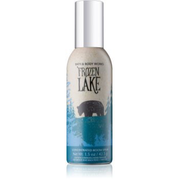 

Bath & Body Works Frozen Lake oсвіжувач для дому 42,5 гр