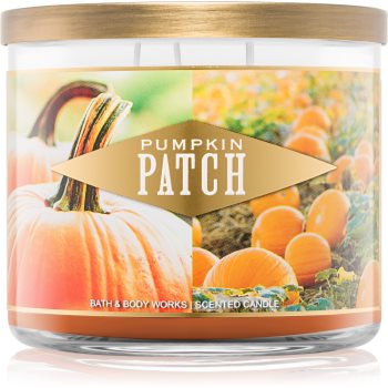 Bath & Body Works Pumpkin Patch lumanari parfumate 411 g