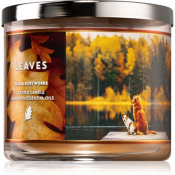Bath & body works leaves lumânare parfumată iv.