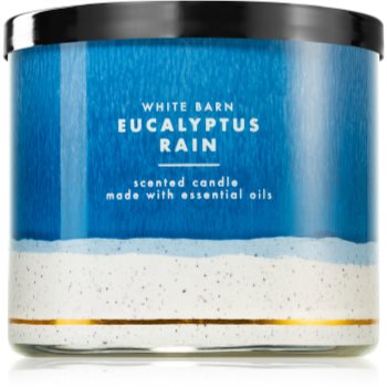 Bath & Body Works Eucalyptus Rain lumânare parfumată IV.