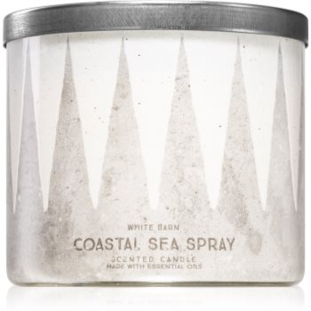 Bath & body works coastal sea spray lumânare parfumată