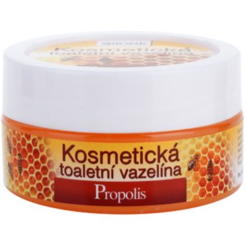 Bione cosmetics honey + q10 vaselina cosmetica