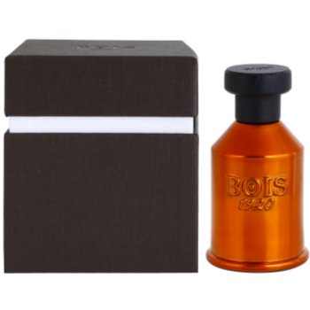 Bois 1920 Vento nel Vento parfémovaná voda unisex 100 ml