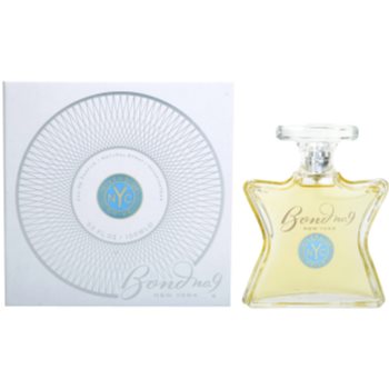 Bond No. 9 Uptown Riverside Drive parfémovaná voda pro muže 100 ml