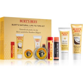 Burts Bees Lips To Tips set cadou pentru hidratare intensa poza