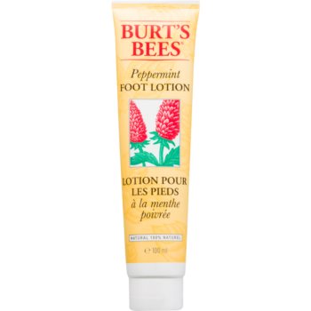 Burt’s Bees Peppermint crema de picioare cu menta