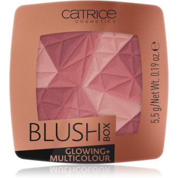 Catrice Blush Box Glowing + Multicolour blush cu efect iluminator poza