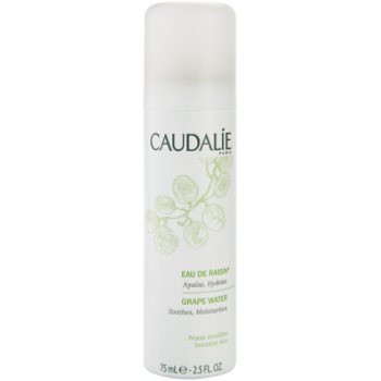 Caudalie Cleaners&Toners osvěžující voda ve spreji pro všechny typy pleti včetně citlivé 75 ml