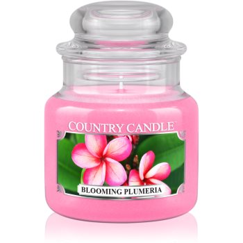 Country Candle Blooming Plumeria lumanari parfumate 104 g