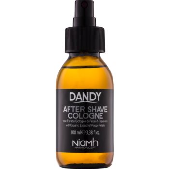 DANDY After Shave after shave poza
