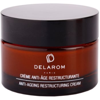 Fotografie Delarom Anti Ageing obnovující krém proti vráskám s organickým arganovým olejem 50 ml