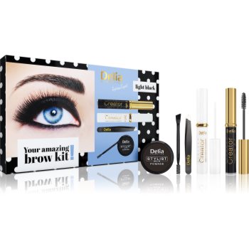 Delia cosmetics eyebrow expert light black set cadou pentru sprancene