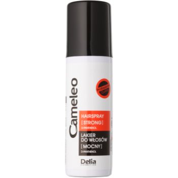 Delia Cosmetics Cameleo fixativ cu fixare puternică